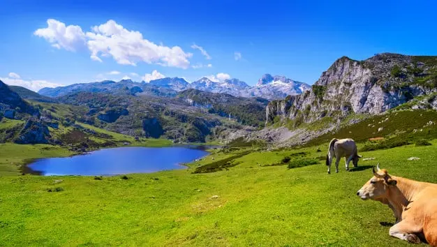 Lago Ercina